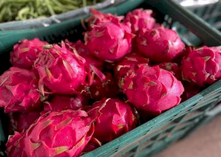 Maracujá e cenoura sobem, enquanto lichia e pitaya têm bons preços na Ceasa