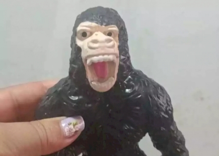 Menino ganhar&aacute; novo presente para substituir macaco &ldquo;horr&iacute;vel&rdquo; recebido