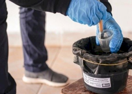 Batayporã moderniza ações de combate à dengue e inicia implantação do Projeto Ovitrampas