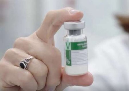 Vacina brasileira contra dengue começa a ser aplicada em janeiro