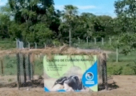 Centro veterin&aacute;rio emergencial no Pantanal deve iniciar atividades em fevereiro
