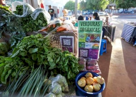 Governo convoca entidades para discutir produ&ccedil;&atilde;o org&acirc;nica em MS