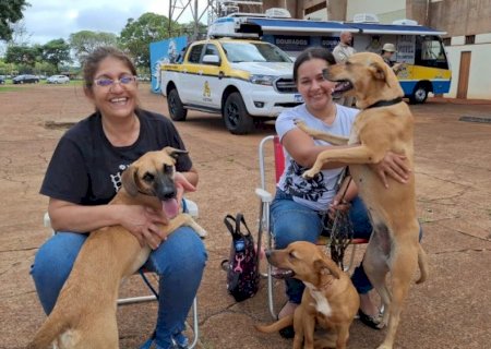 Caravana da Castração inicia hoje os trabalhos em Eldorado