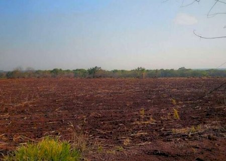 Acordo prev&ecirc; recupera&ccedil;&atilde;o de &aacute;rea desmatada em fazenda de Ponta Por&atilde;
