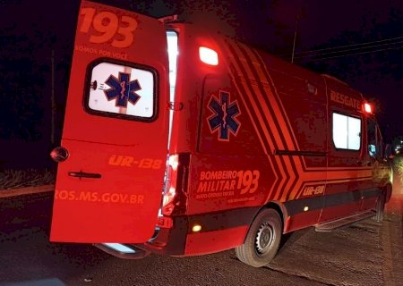 Motorista morre após atropelar javali e sair da pista na região de Nova Casa Verde