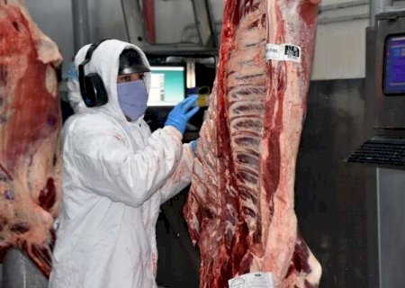 Brasil discute situa&ccedil;&atilde;o de carne bovina em tr&acirc;nsito ap&oacute;s nova cota da China