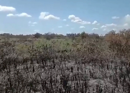Bombeiros controlam incêndio que queimou 4 km em fazenda no Pantanal