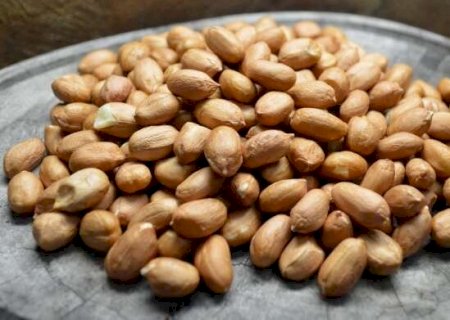 Guia da Embrapa reforça potencial do amendoim em Mato Grosso do Sul
