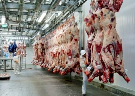 Exportações bovinas já superam janeiro de 2025 em território nacional