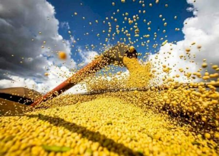 Soja e milho puxam super&aacute;vit de US$ 462,9 milh&otilde;es na balan&ccedil;a comercial de MS