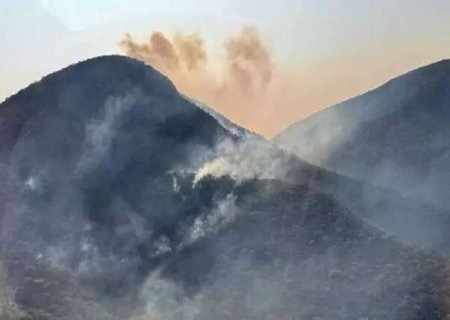 Mesmo com diminui&ccedil;&atilde;o nacional, Pantanal registra alta de 323% nas queimadas