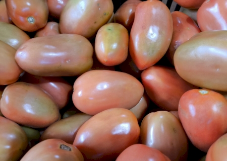 Pre&ccedil;o do tomate puxa alta de 0,97% do custo da cesta b&aacute;sica em Campo Grande