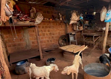 VÍDEO: PM conduz homem por suspeita de maus-tratos a 18 cães em Nova Alvorada do Sul