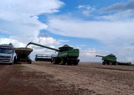 MS registra atraso de 9,3 pontos percentuais na colheita da soja