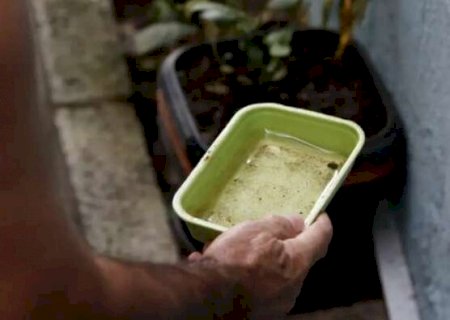 Carnaval acende alerta para preven&ccedil;&atilde;o da dengue em MS