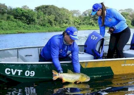 Modalidade pesque e solte &eacute; liberada nos rios Paraguai e Paran&aacute;