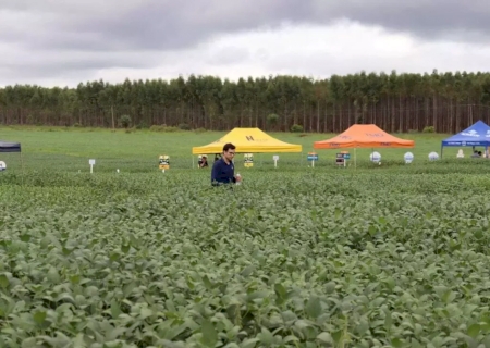 Com custos e desafio de trocar eucalipto por soja, fazenda tem dia de campo
