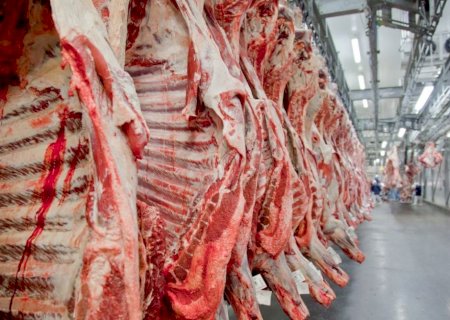 Carne bovina ganha força e amplia mercados em 2026