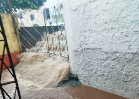 Chuva em Ponta Por&atilde; alaga 12 casas, danifica ruas e derruba &aacute;rvores
