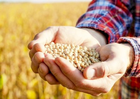 Nova lei eleva imposto sobre insumos e Funrural para produtores rurais em 2026