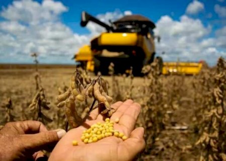 Bolívia pode baratear fertilizantes e turbinar agro de MS