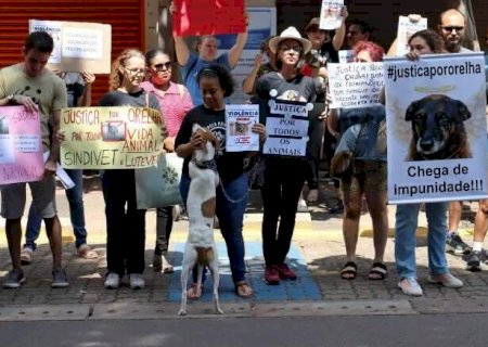 Multa por maltratar animais pode chegar a R$ 1 milhão em novo decreto