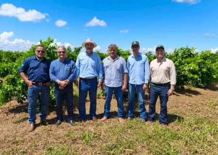 Citros Tour apresenta ações para a citricultura em MS