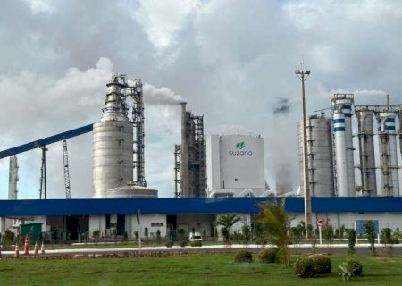 BNDES libera R$ 411,4 milhões para Suzano, com parte dos investimentos em MS