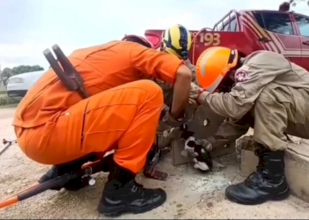 Filhote fica entalado em bueiro e bombeiros quebram concreto para salvar (vídeo)