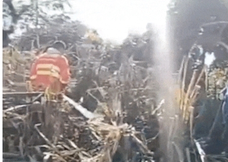 Ap&oacute;s 2 dias, bombeiros extinguem inc&ecirc;ndio na regi&atilde;o do Nabileque