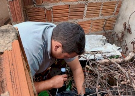 Chikungunya: o que &eacute;, como se proteger e quando procurar atendimento