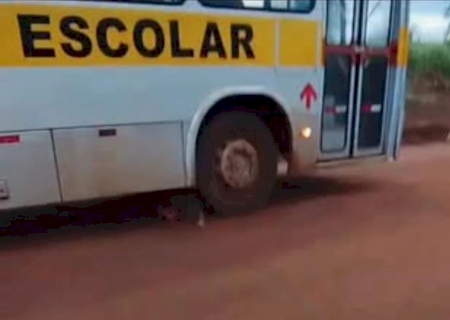 Criança de 7 anos morre atropelada na Aldeia Te’yikue, em Caarapó