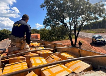 PRF apreende 1,2 tonelada de maconha e pistola em Campo Grande (MS)