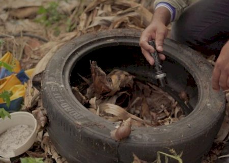 Saúde realiza força-tarefa para conter chikungunya em Dourados