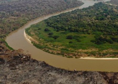 É preciso agir rápido diante das mudanças climáticas, diz fundador da Onçafari