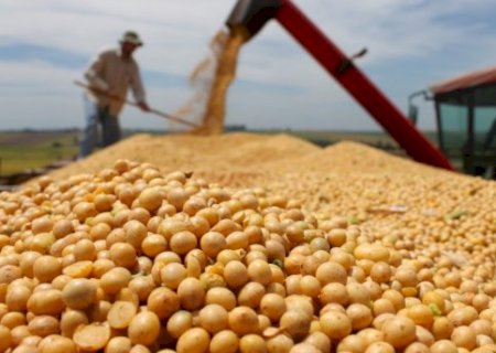 MS pode virar semestre com 50% da safra 2025/2026 de soja em estoque