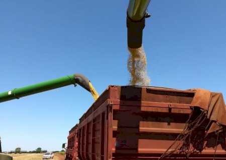 Colheita da soja alcança 97,1% da área em Mato Grosso do Sul