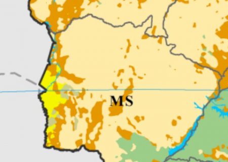 MS vai além de Cerrado e Pantanal: mapa revela mosaico de vegetações
