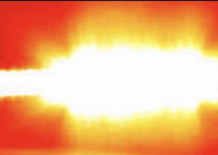 Idoso mutila cachorro com faca e é preso em MS