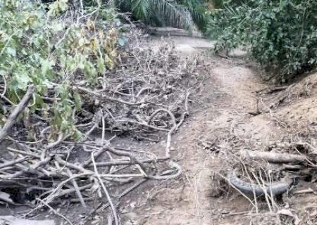 Ossada e moto achadas em grota reacendem mistério de casal sumido há 12 anos em MS