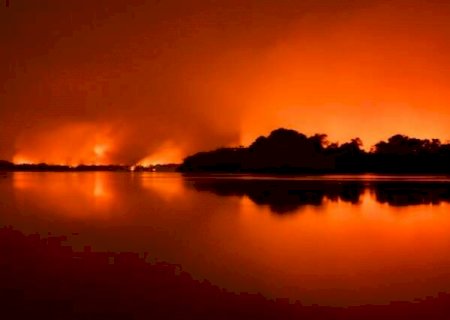 Pantanal resiste ao fogo, mas a combina&ccedil;&atilde;o de fatores reduz a biodiversidade