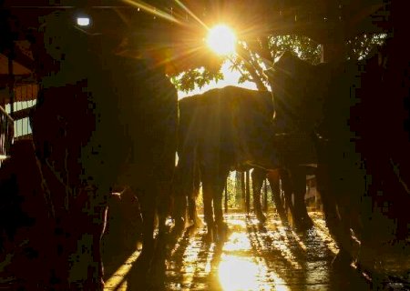 Com 92% de chance, El Ni&ntilde;o preocupa MS com risco ao agro e ao Pantanal