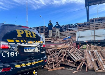 PRF apreende uma tonelada de maconha em Caarapó (MS)