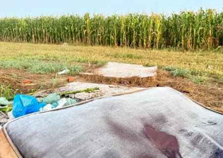 Leve geada cobre lavoura de milho e atinge 6 municípios de MS