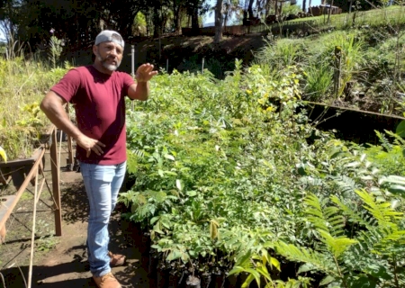 Prefeitura combate erosão e avança na revitalização do Sitio Ecológico de Jateí