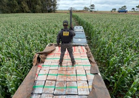 Motorista foge por milharal e abandona caminhão com 6 toneladas de maconha em Dourados>