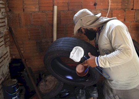 Boletim Epidemiológico: MS registra 6.360 casos confirmados de chikungunya