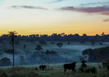 MS tem m&iacute;nima de 2&deg;C e sensa&ccedil;&atilde;o t&eacute;rmica fica em 3&deg;C em Campo Grande
