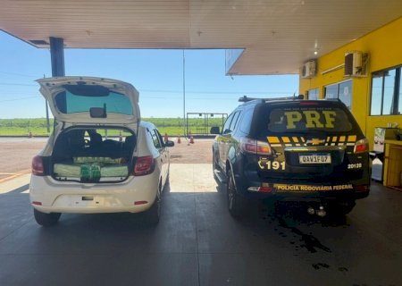 PRF apreende 208 Kg de maconha em Naviraí (MS)