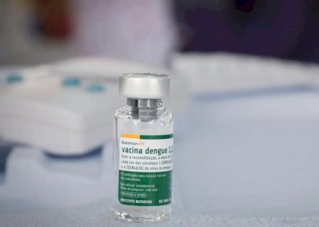 Butantan mantém estudo sobre vacina da dengue em idosos